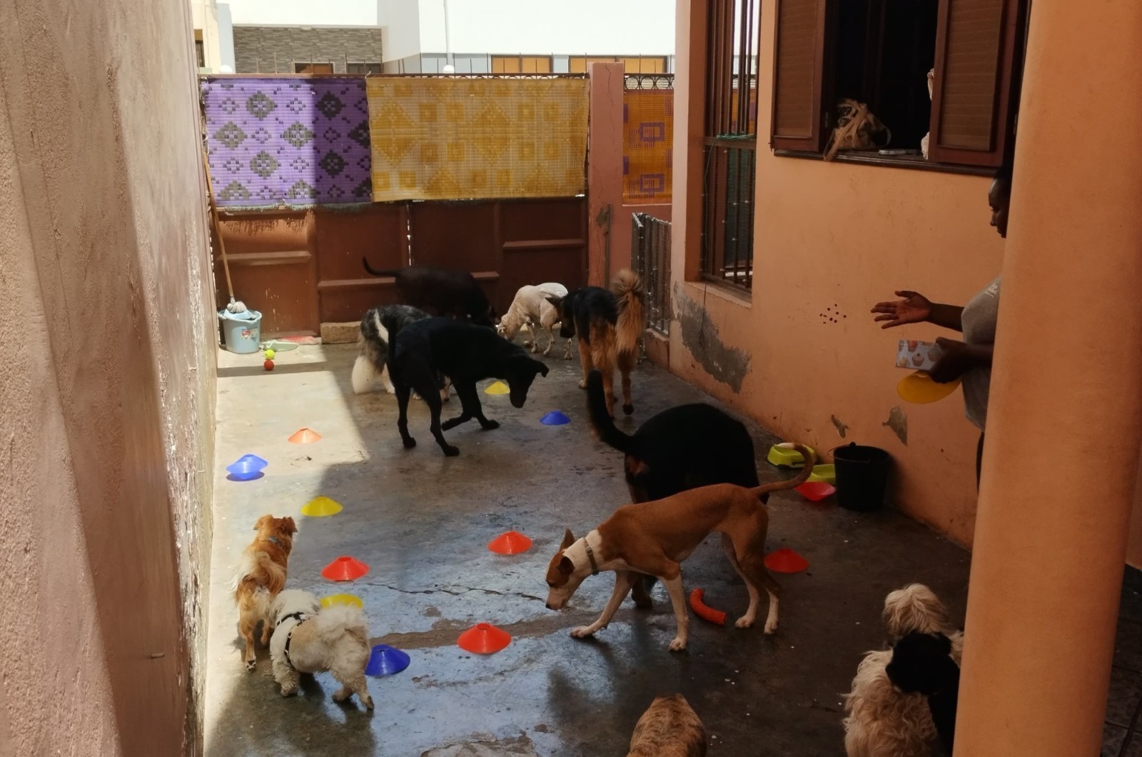 Serviço de acompanhamento comportamental