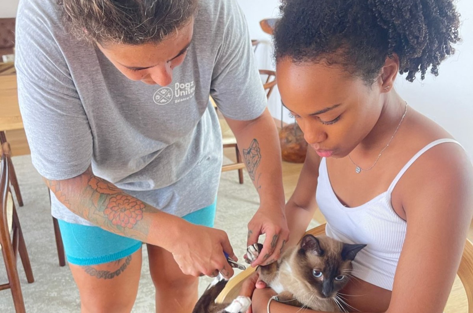 Serviço de visita a domicílio